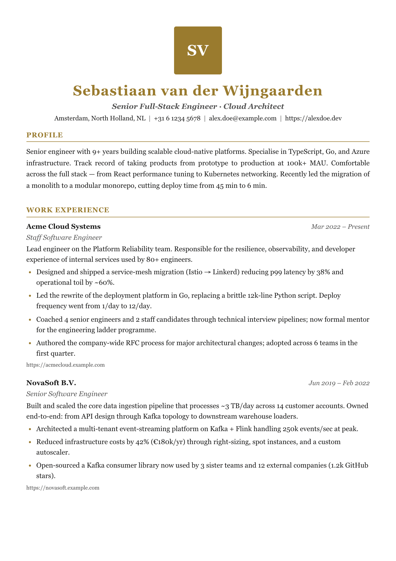 Rheingold resume template