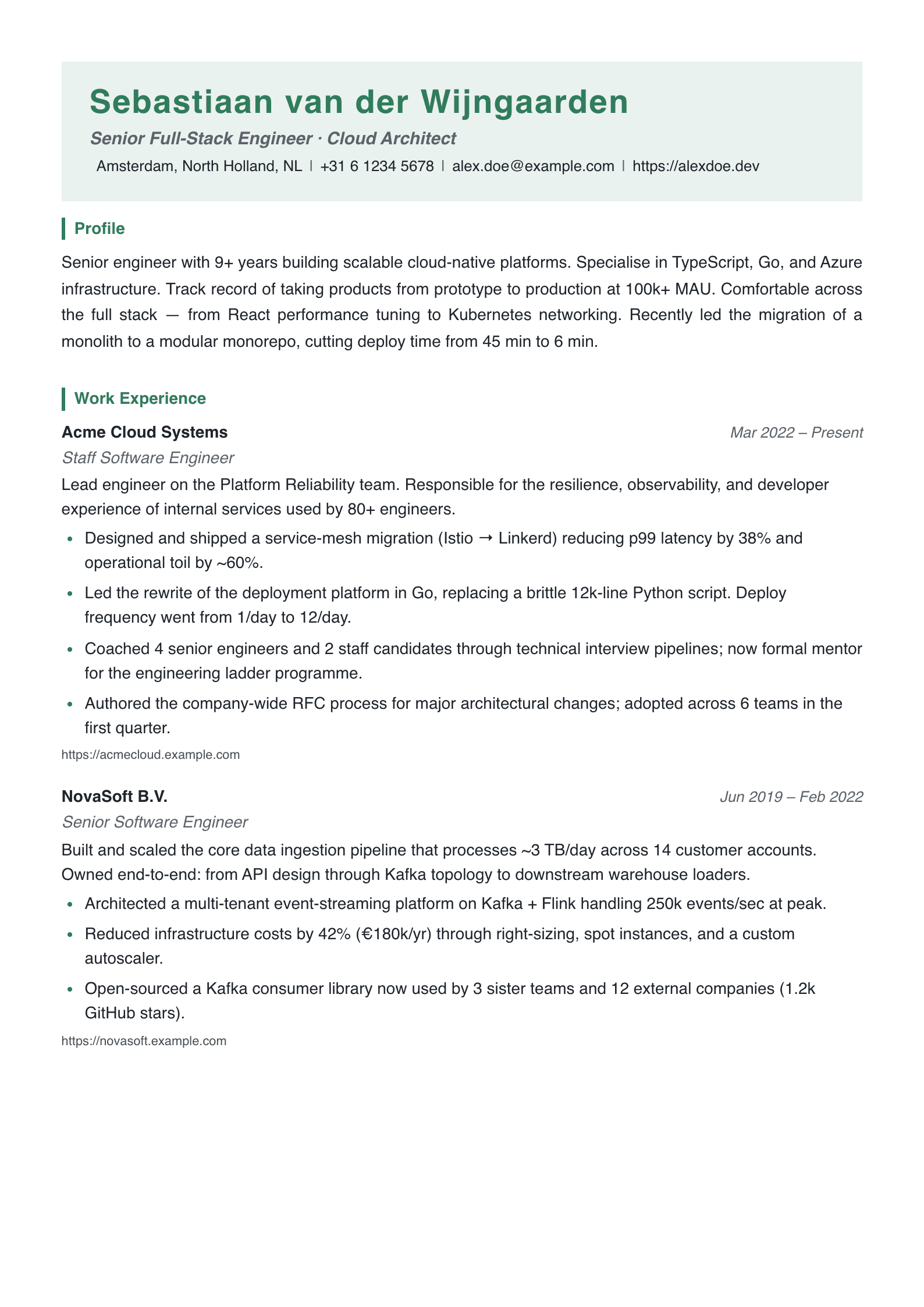 Shannon resume template